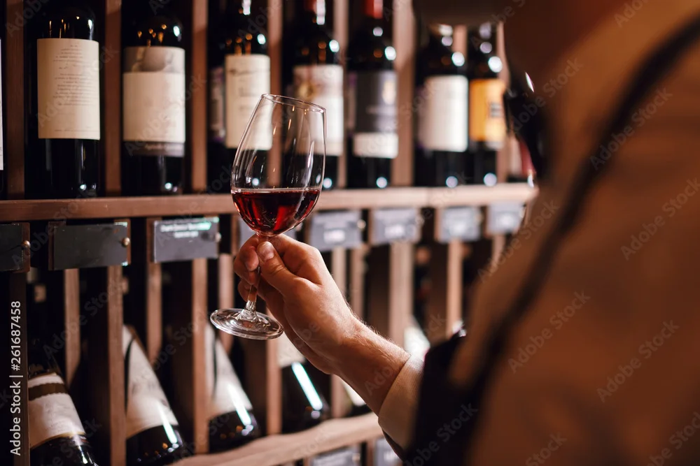 DEGUSTAZIONE DI VINI IN CANTINA