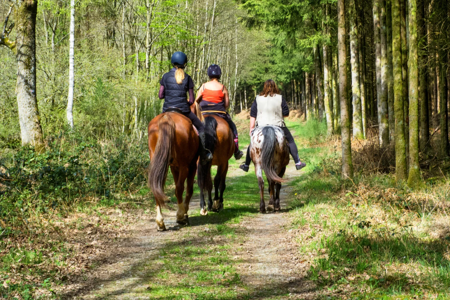 ESCURSIONE A CAVALLO