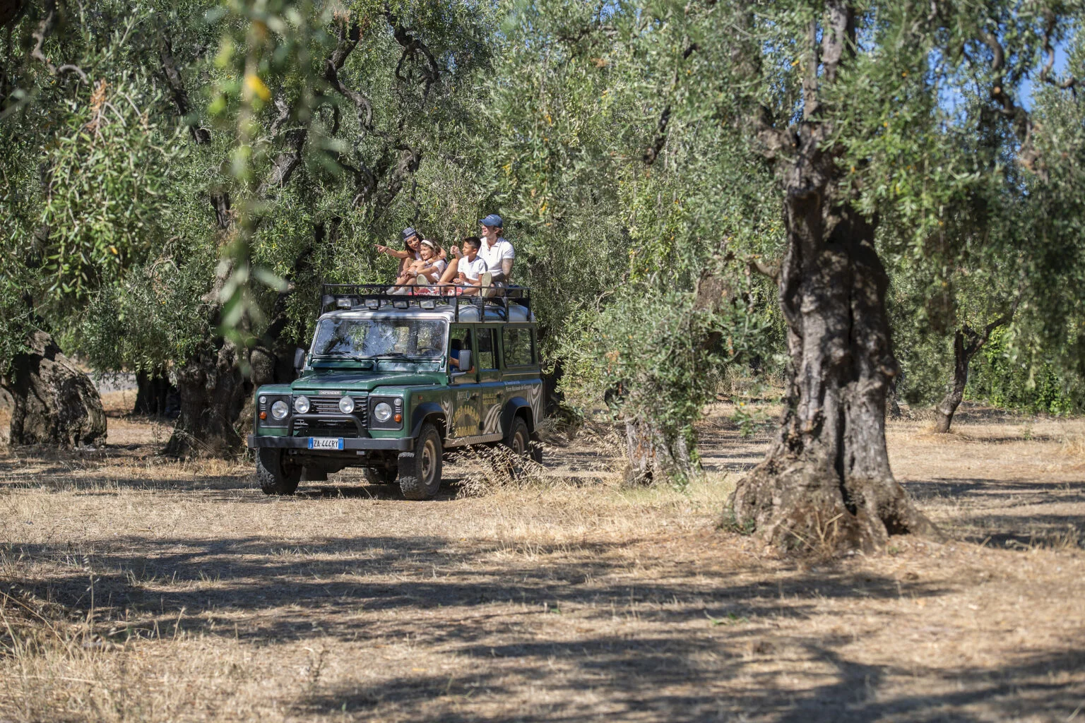 SAFARI JEEP IN FORESTA UMBRA