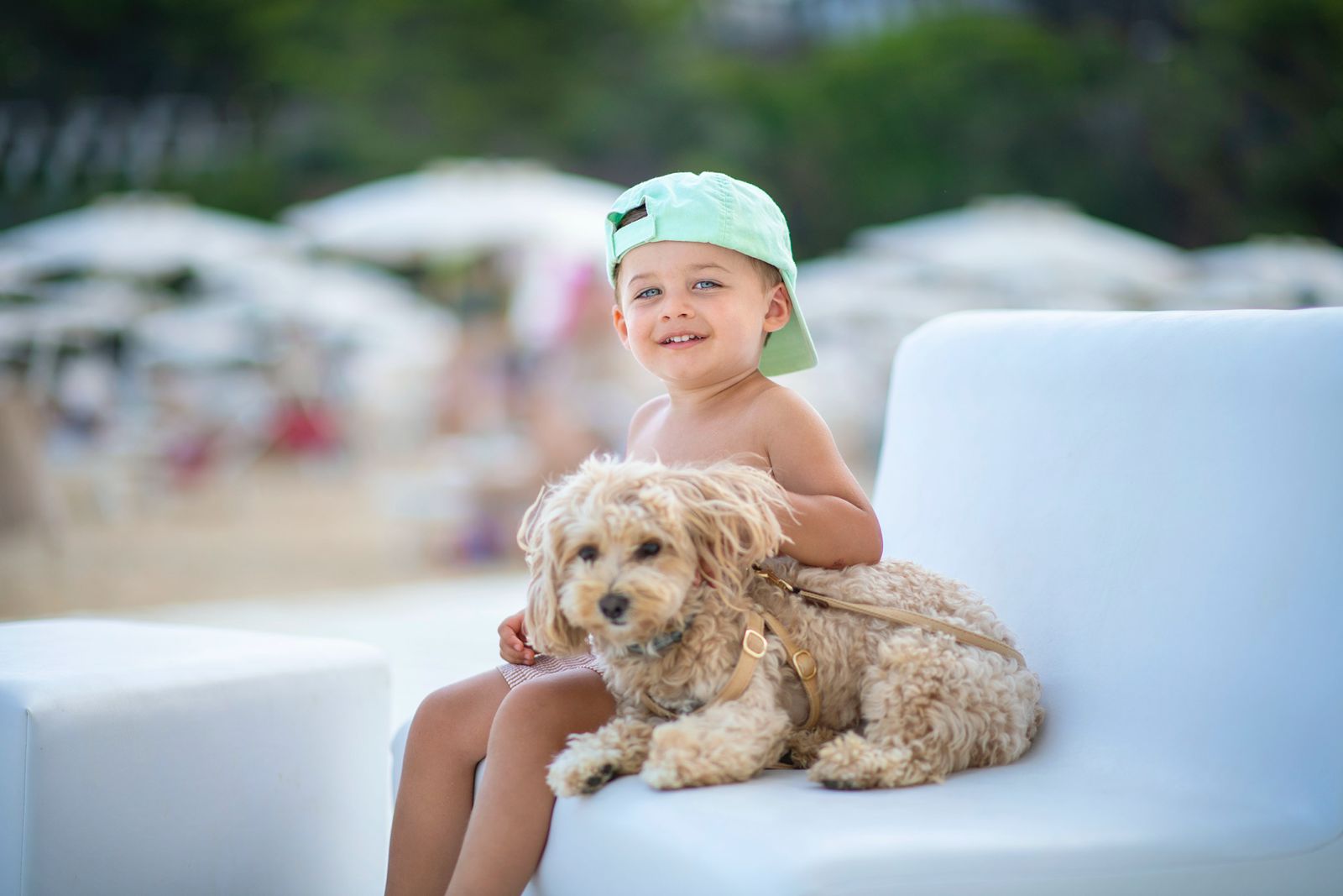 PET FRIENDLY
